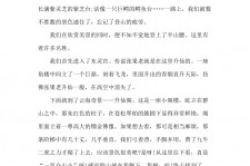 眉山旅游感想(张家界旅游感想)