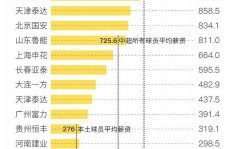 眉山关于伴游小丽中国足球的信息