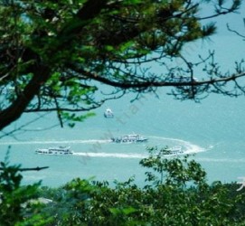 眉山中国伴游网与你分享旅游的点滴(中国伴游网与你分享旅游的点滴是什么)