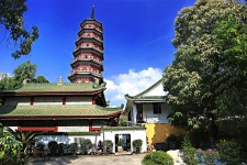眉山广州自由行(广州 自由行)