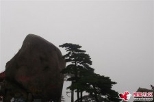 眉山上海伴游私家陪游雇用女模(上海伴游私家陪游雇用女模特)