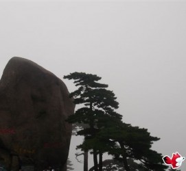 眉山上海伴游私家陪游雇用女模(上海伴游私家陪游雇用女模特)