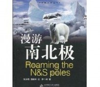 眉山游记攻略(ps西游记攻略)