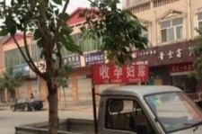 眉山上海伴游 用伴游造句大全(5