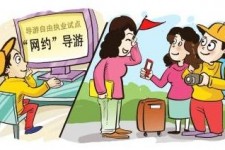 眉山伴游是什么