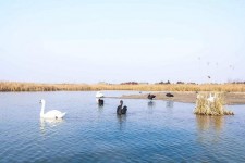 眉山南昌附近伴游小妹兼职(1534939978姐的微信德惠市)