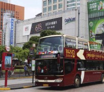 眉山上海私人伴游 上海过年怎么玩？这些“微游”线路了解下→