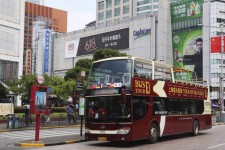 眉山上海私人伴游 上海过年怎么玩？这些“微游”线路了解下→