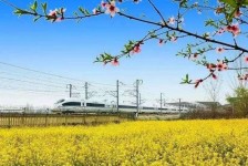 眉山高铁游(高铁游戏下载手机版)