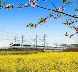 眉山高铁游(高铁游戏下载手机版)