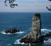 眉山旅游全攻略(上海旅游全攻略)