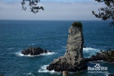 眉山旅游全攻略(上海旅游全攻略)