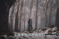 眉山上海私人伴游 上海伴游，上海兼职伴游安全吗