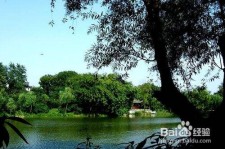 眉山西湖旅游攻略(上海到杭州西湖旅游攻略)