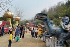 眉山中国伴游带你打卡网红南山竹海(南山竹海网上预约)