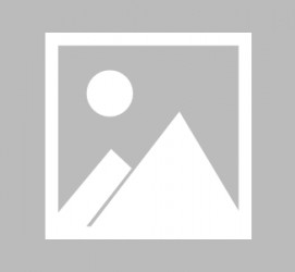 眉山闵行区伴游雇用驾驶员(闵行区伴游雇用驾驶员信息)
