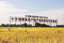 眉山关于成都商务伴游外围雇用的信息