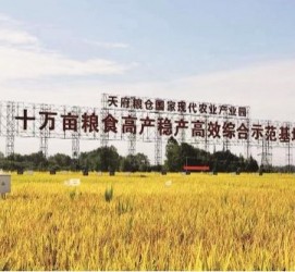 眉山关于成都商务伴游外围雇用的信息