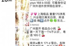 眉山外围伴游雇用圈套(雇用伴游什么样子的是实的)
