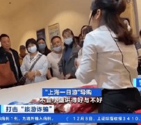 眉山上海私人伴游 看·法｜100元游上海？！“旅社”涉嫌诈骗被一窝端