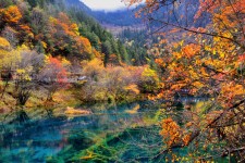 眉山四川旅游攻略(四川旅游攻略十五日游)
