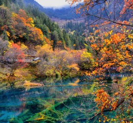 眉山四川旅游攻略(四川旅游攻略十五日游)