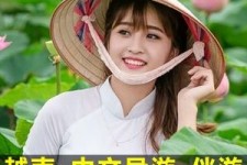 眉山日本关东伴游中国(日本关西旅行)