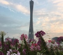 眉山广州旅游攻略(杭州到广州旅游攻略)