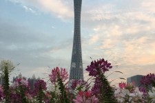 眉山广州旅游攻略(杭州到广州旅游攻略)