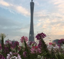 眉山广州旅游攻略(杭州到广州旅游攻略)