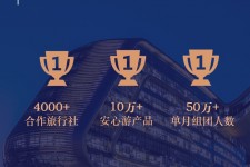 眉山上海私人伴游 ​ “小而美”的新时代：2020年国内新跟团消费报告