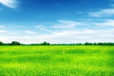 眉山上海伴游 上海模特伴游微信号的交友宣言