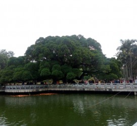 眉山福州旅游攻略(福州旅游攻略二日游)