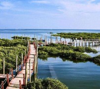 眉山旅游哪里好玩(云南旅游哪里好玩)