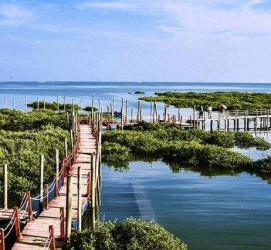 眉山旅游哪里好玩(云南旅游哪里好玩)
