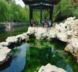 眉山济南旅游攻略(青岛威海济南旅游攻略)