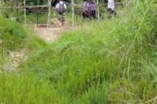 眉山苍溪学生做伴游兼职(苍溪学生做伴游兼职怎么样)