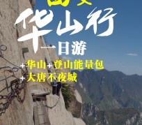 眉山一日游(一日游需要准备些什么东西?)
