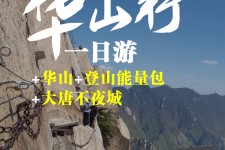 眉山一日游(一日游需要准备些什么东西?)