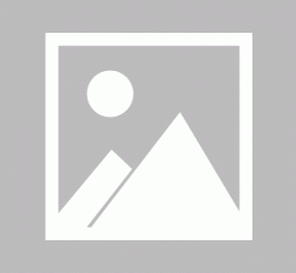眉山私人伴游 黄金周里动“黄”经 天津又现“私人陪游”逆流