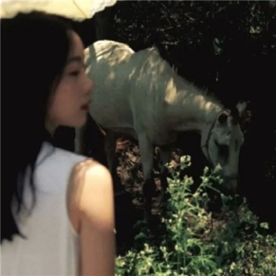 眉山私家伴游让你拥有一次完美的旅游体验