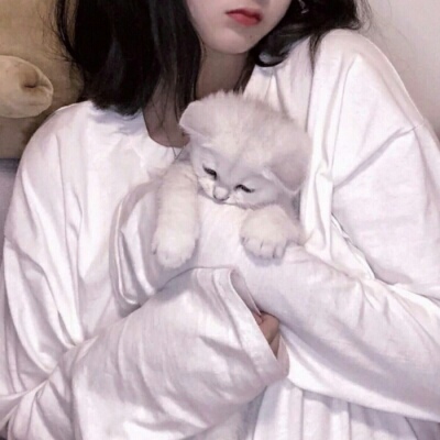 眉山伴游女生蕾鮑的资料